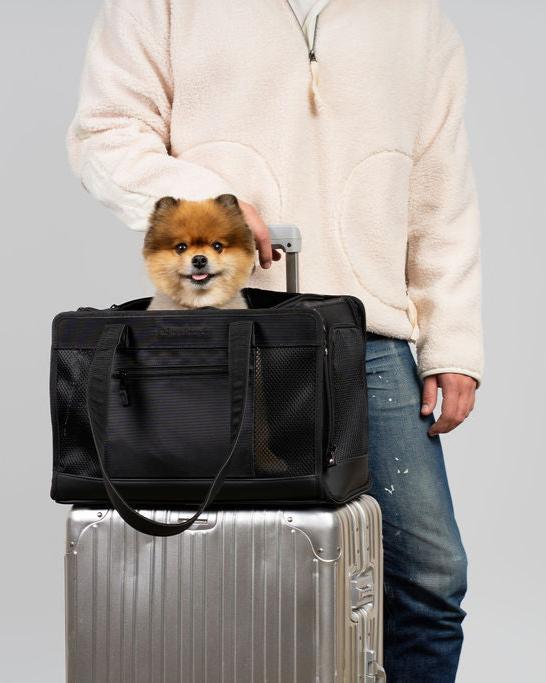 Airline‑Compliant Black Pet Travel Carrier | Oskar & Friends