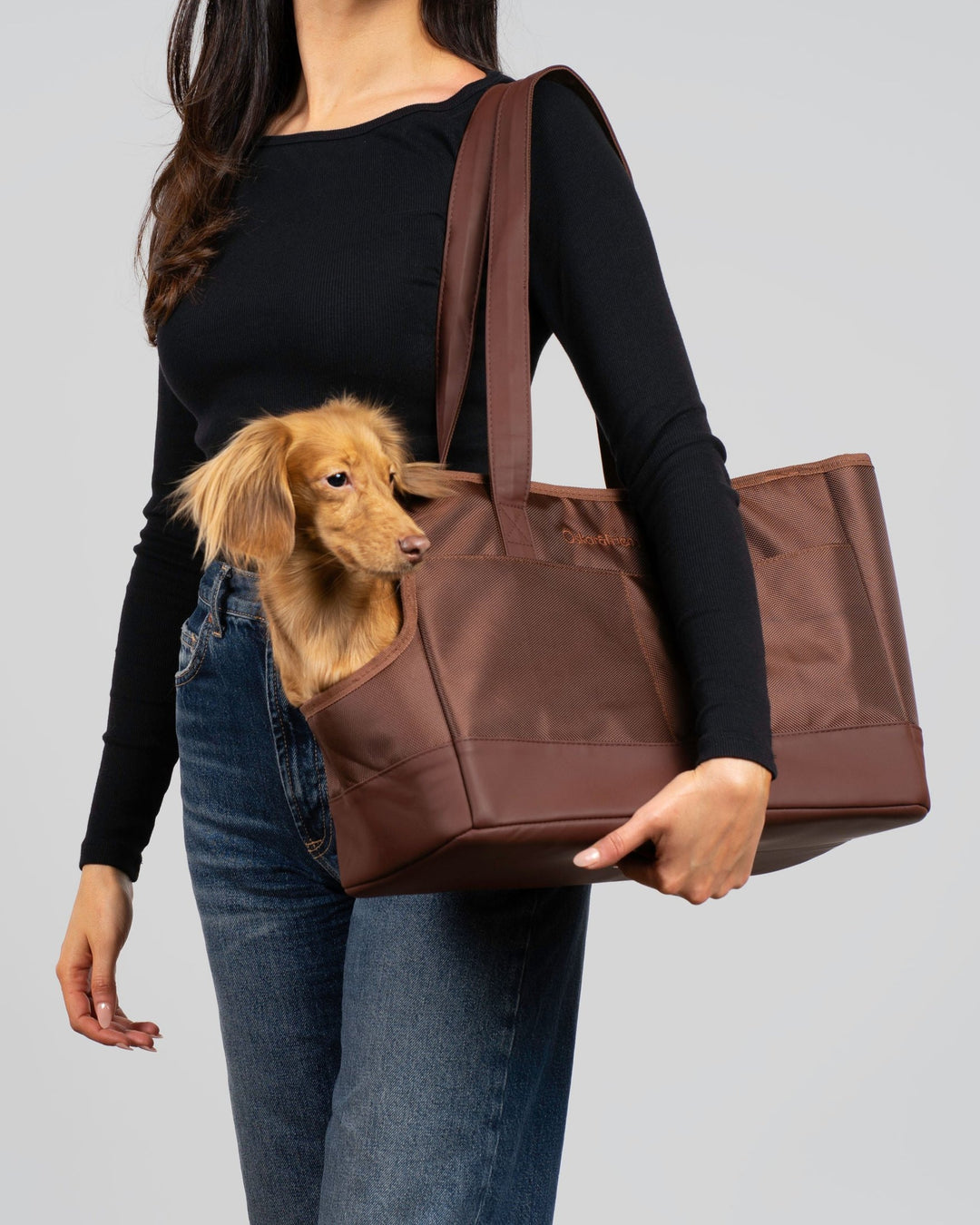 Stylish Pet Tote
