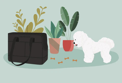 dog carrier dog purse