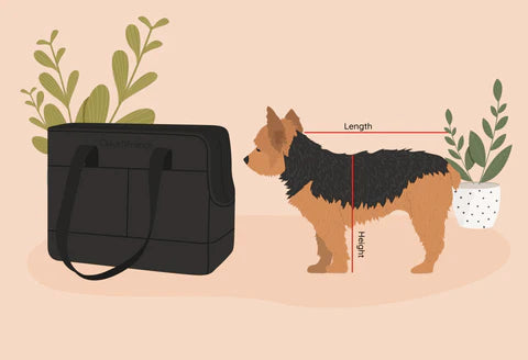 small dog carrier
