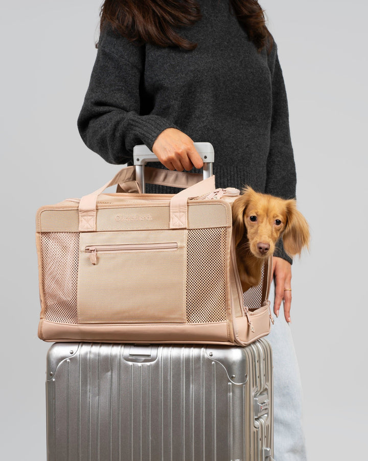 Taupe Pet Travel Carrier