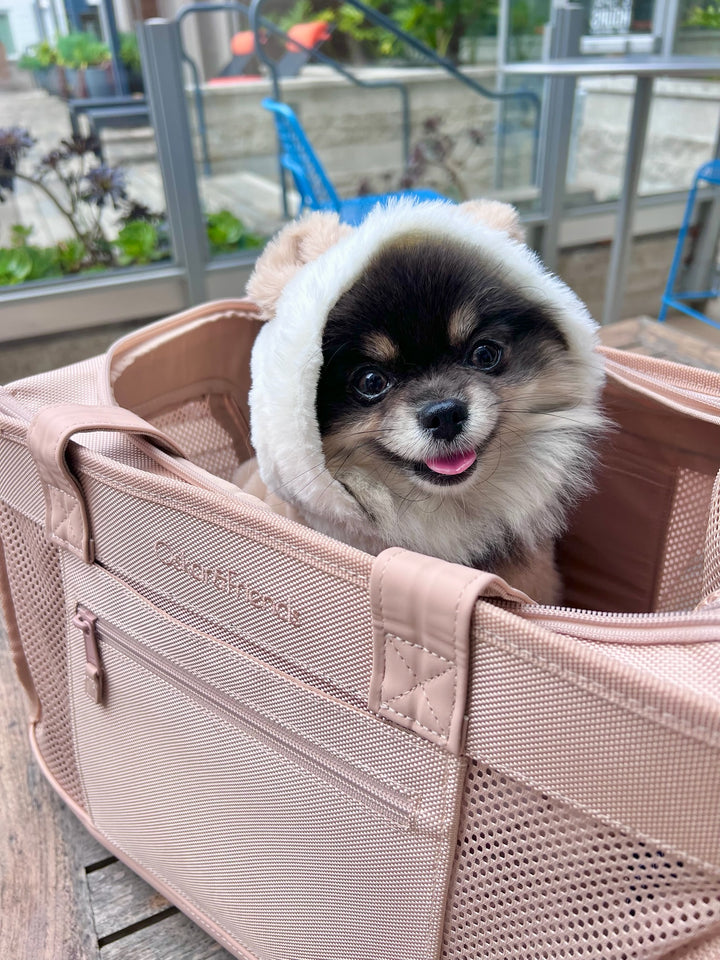 Airline Compliant Pet Carrier