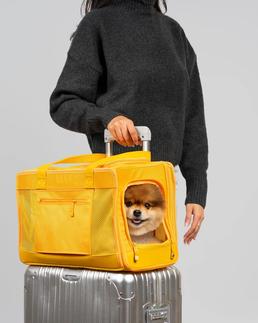 Sunburst Yellow Pet Travel carrier