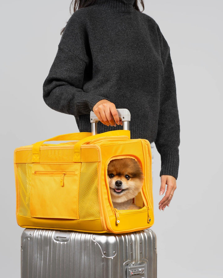 Sunburst Yellow Pet Travel carrier