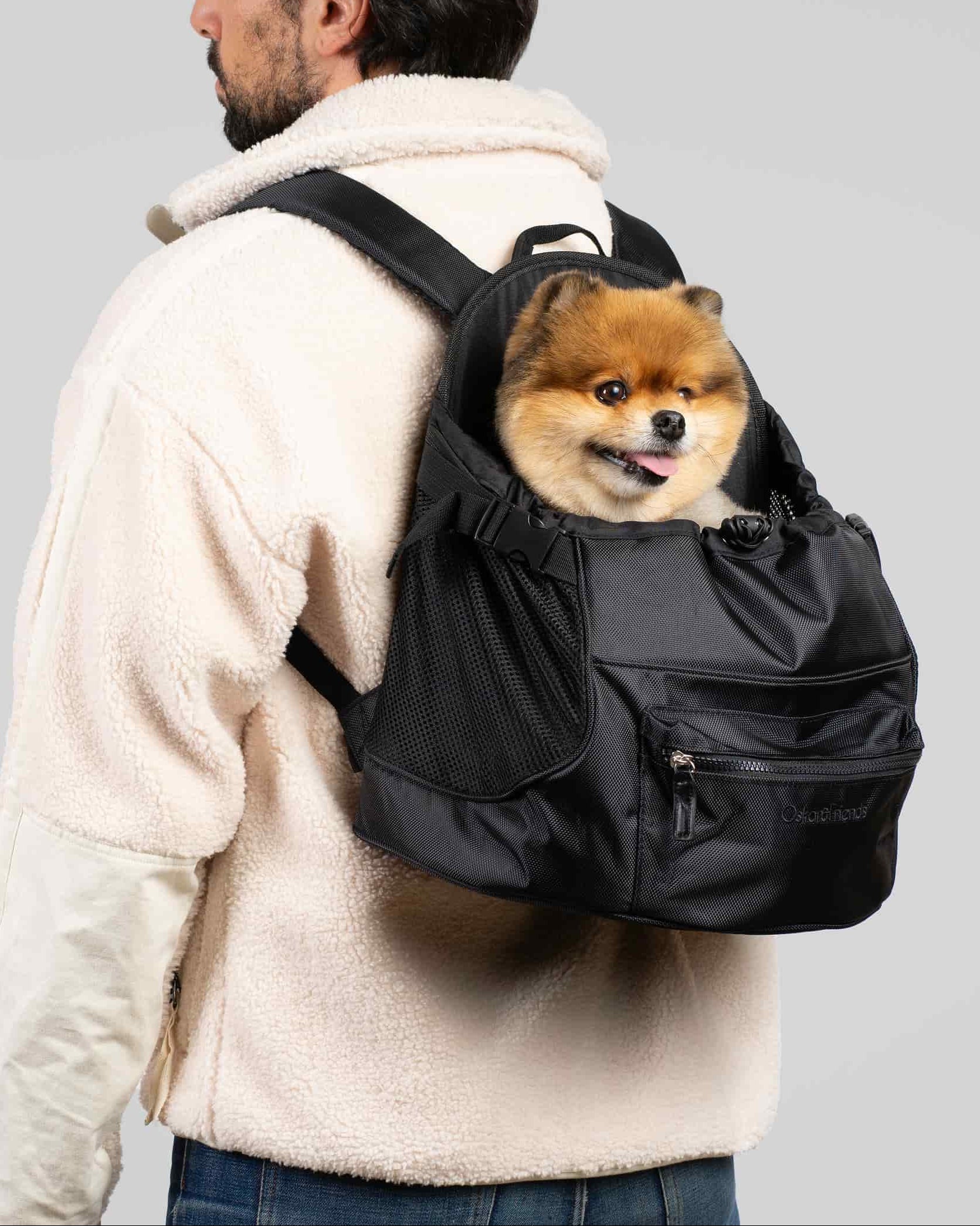 PET BACKPACKS