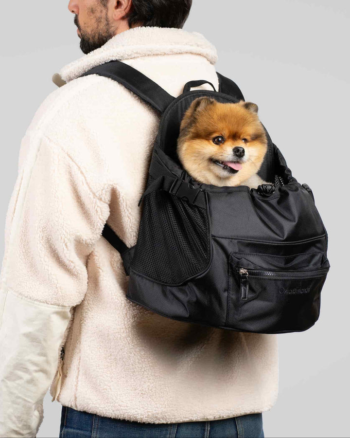 All-Black Pet Backpack