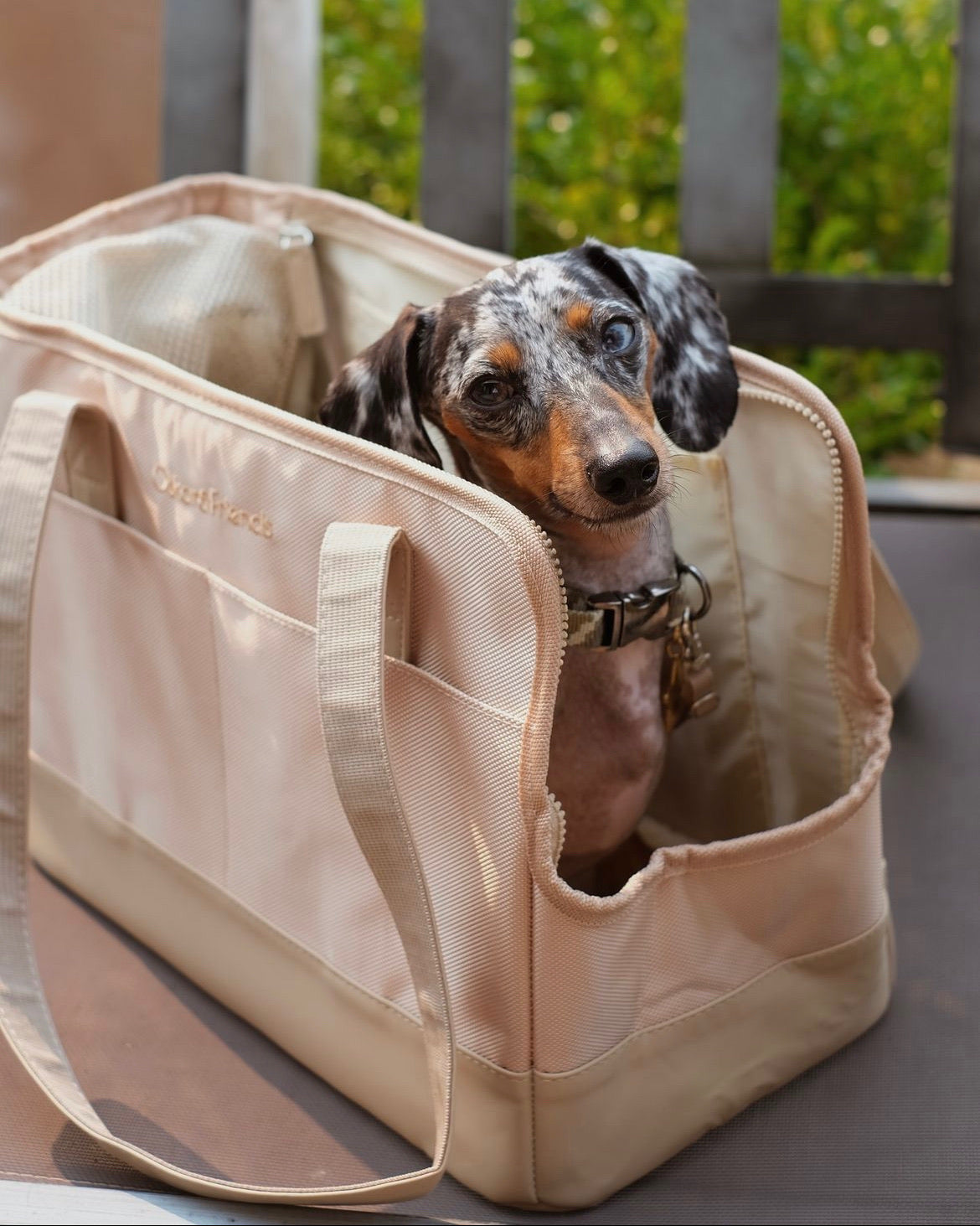Beige Pet Tote Bag – Durable & Stylish | Oskar & Friends