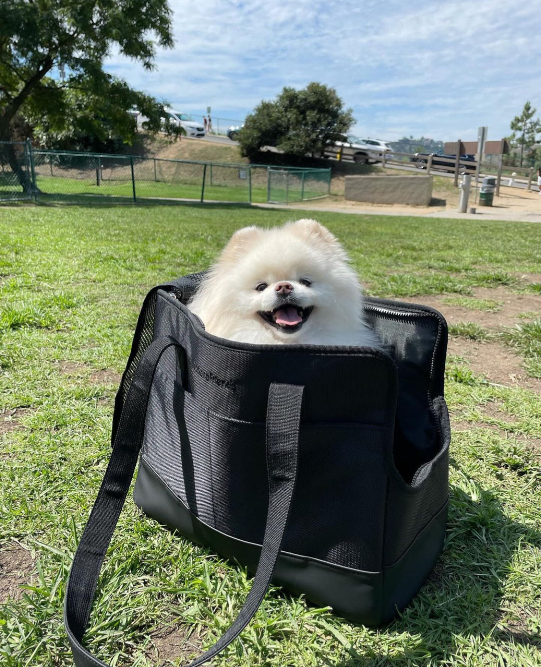 All-Black Pet Tote bag