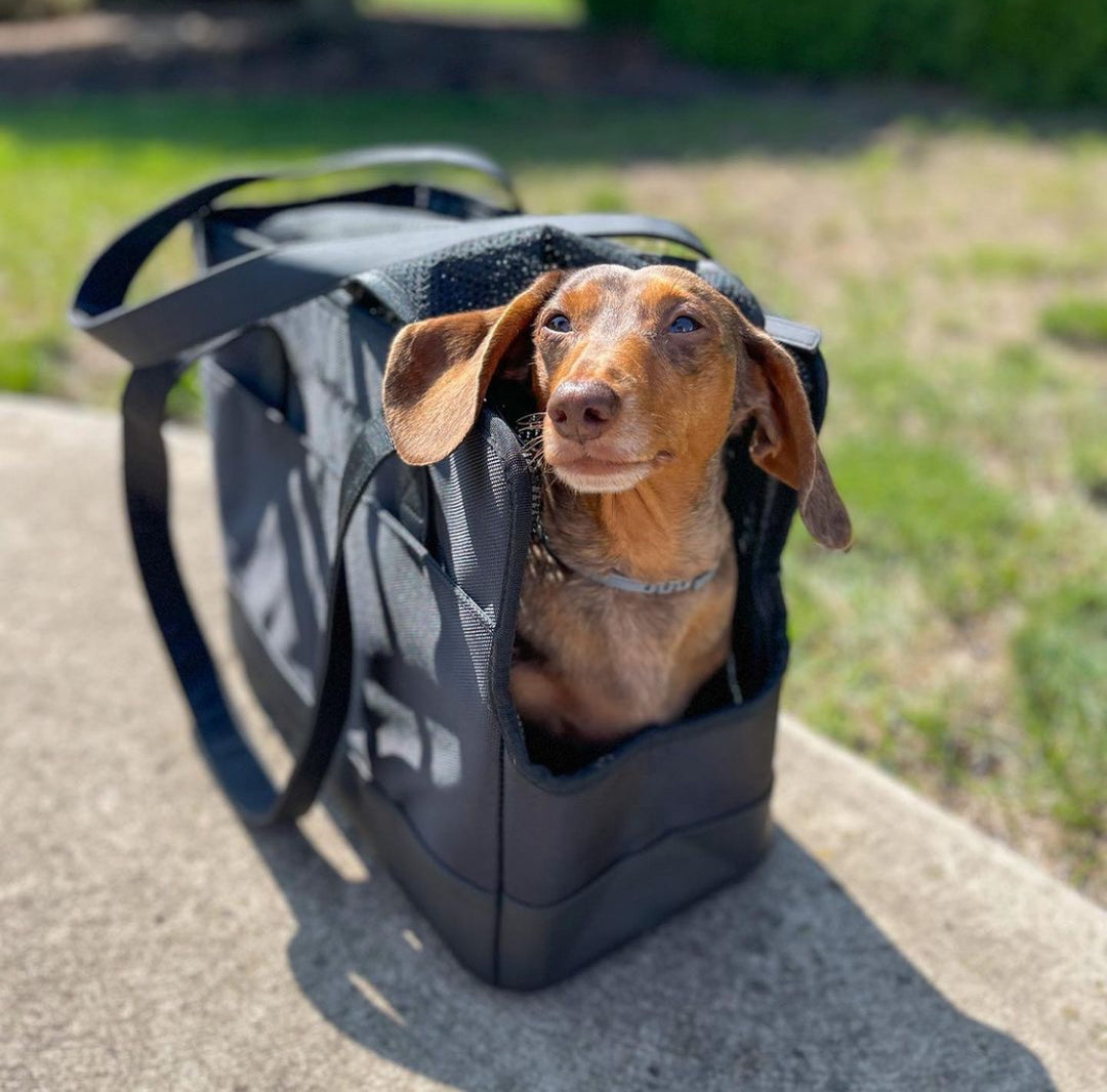 All-Black Pet Tote bag