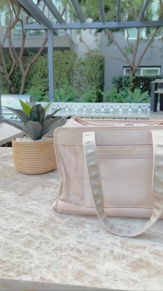 Beige Pet Travel Carrier