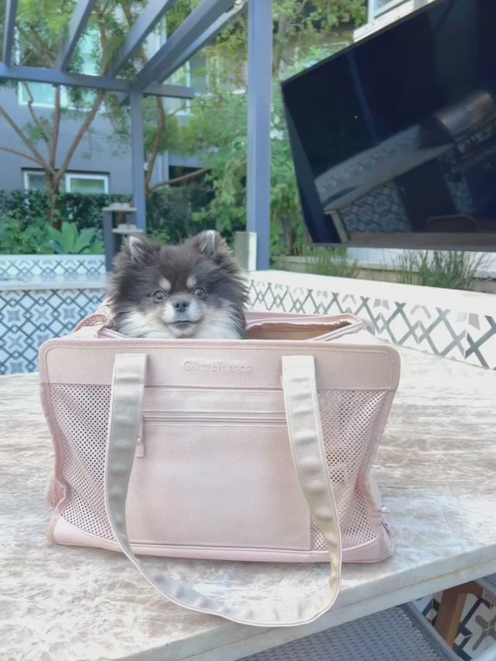 Beige Pet Travel Carrier