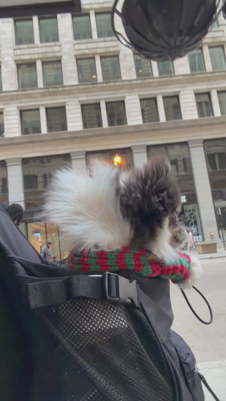 Premium All-Black Pet Backpack