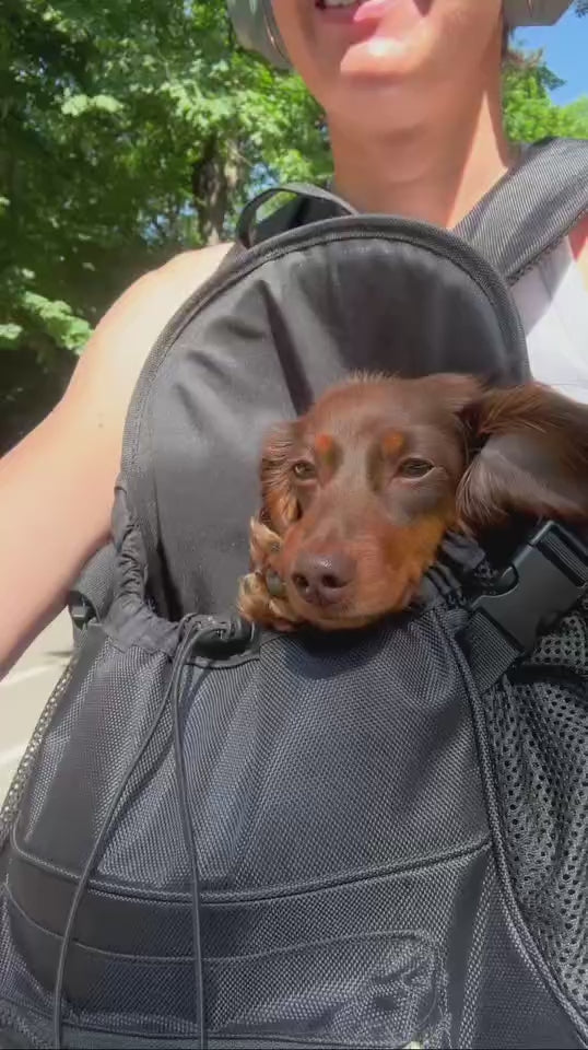 Premium All-Black Pet Backpack