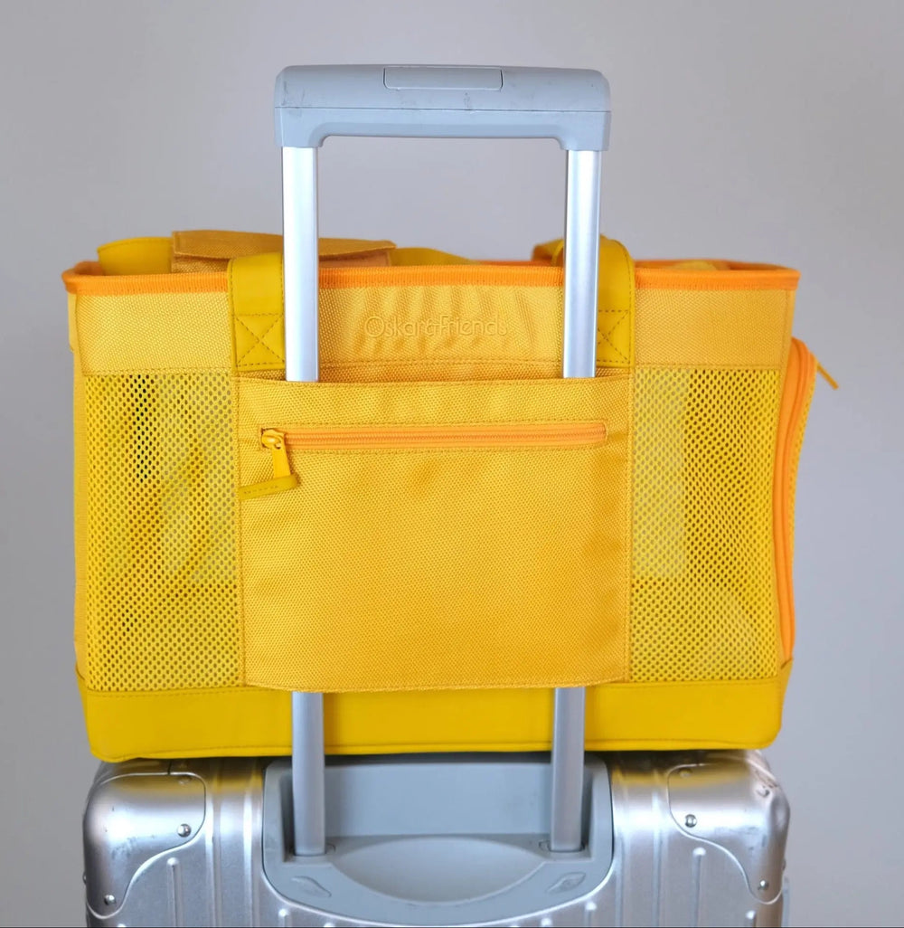 Lightweight Pet Carrier