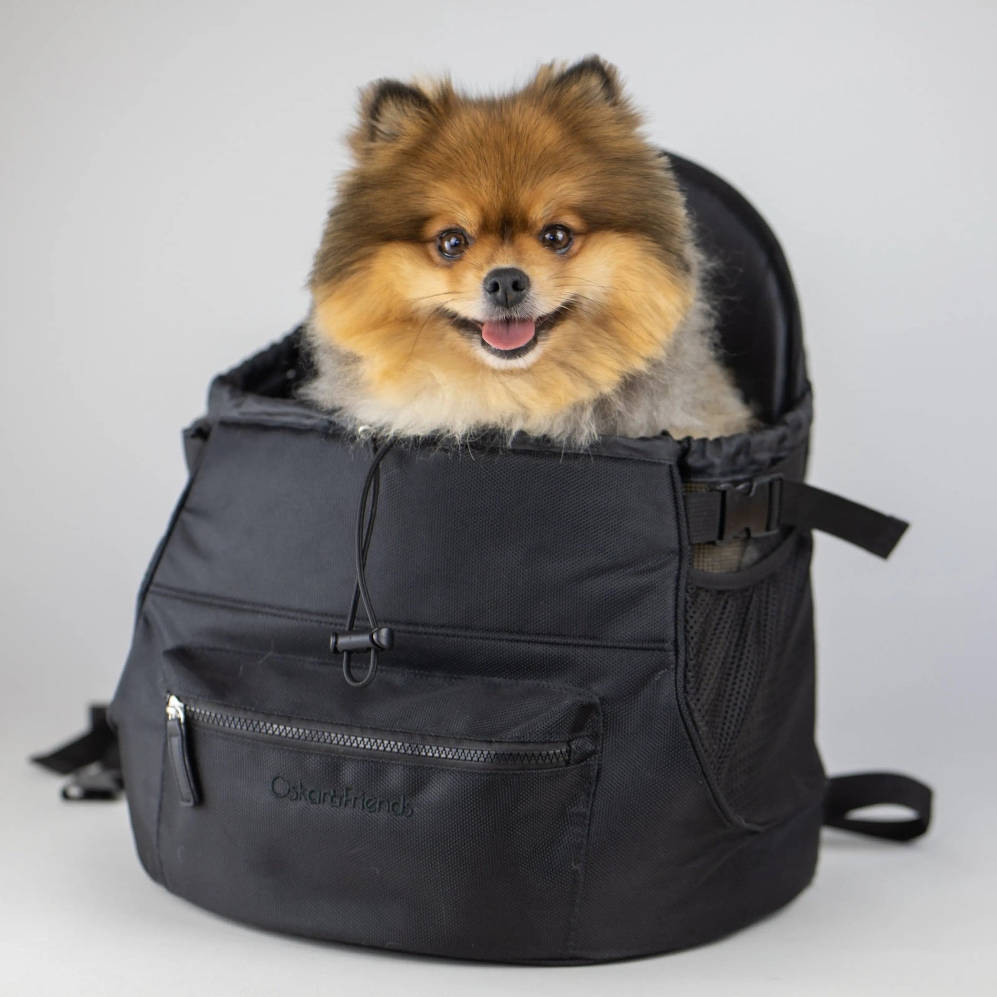 Front carrier for small dogs best sale