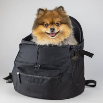 dog backpack for small dogs