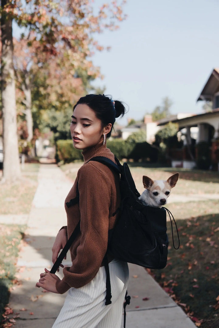 cat backpack