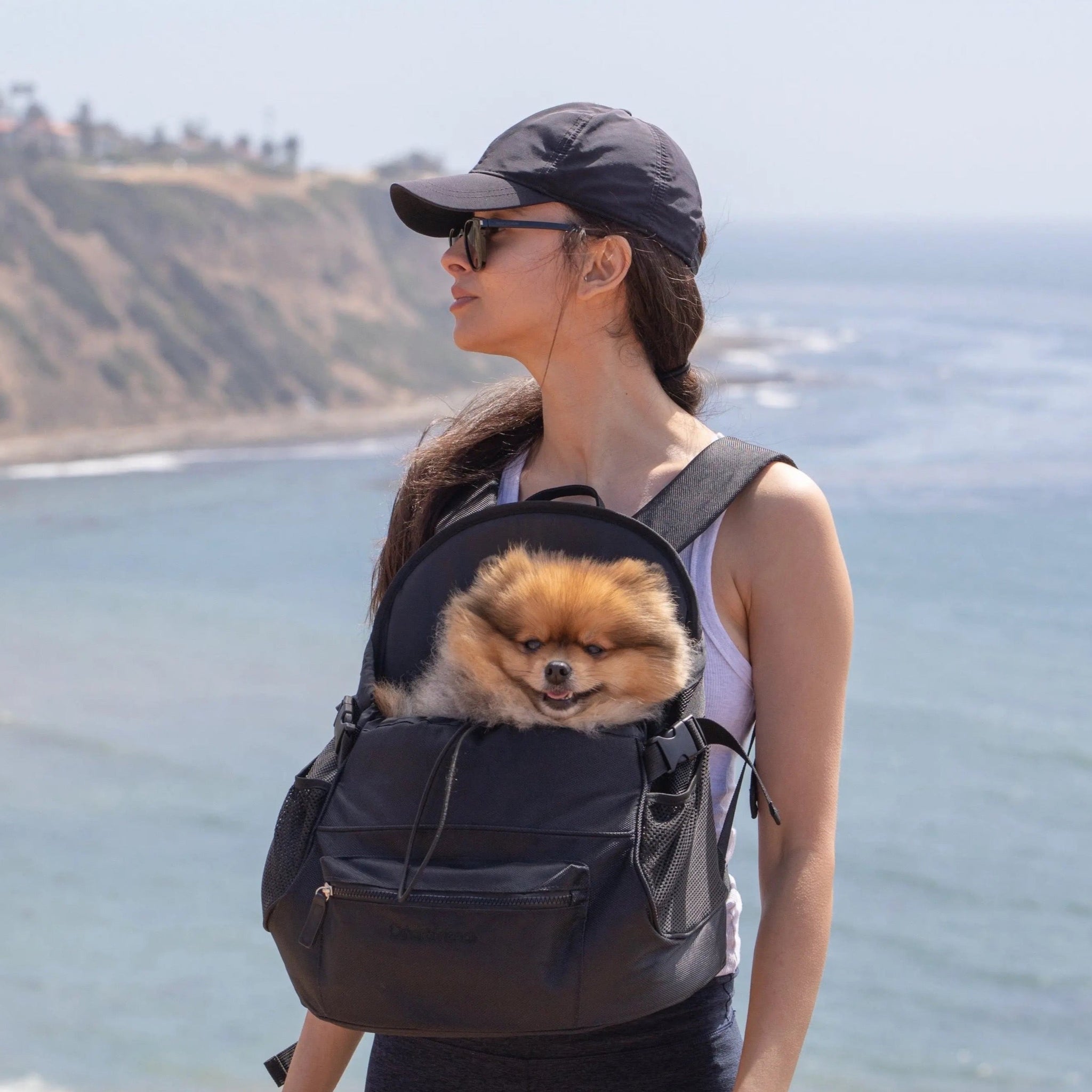 Doggie orders backpacks for small dogs