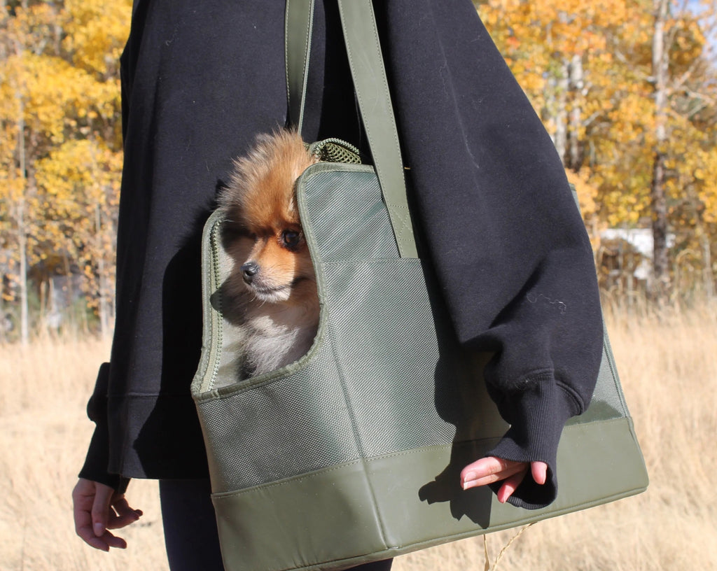 Constantin Canvas Tote Bag Dog Carrier - Green