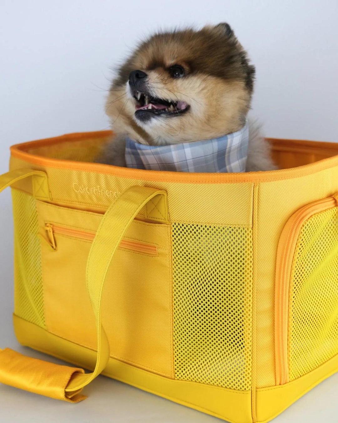 airline pet carrier