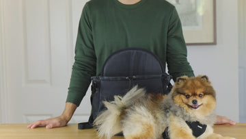dog backpack carrier, cat backpack